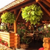 Pensiunea Casa Afetelor | Cazare Pipirig