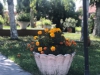 Hotel President | Cazare Scornicesti